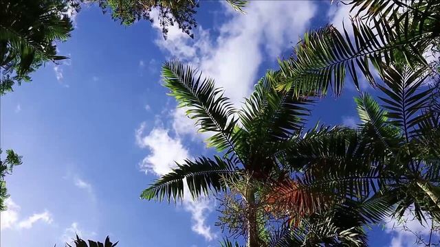 Голубка. Елена Бажанова.mp4 смотреть онлайн