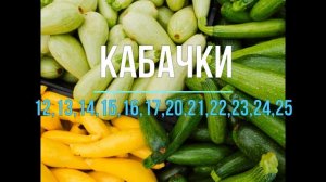 ЛУННЫЙ  КАЛЕНДАРЬ ОГОРОДНИКА МАЙ 2021!!!БЛАГОПРИЯТНЫЕ ДНИ ДЛЯ ПОСЕВА!!!