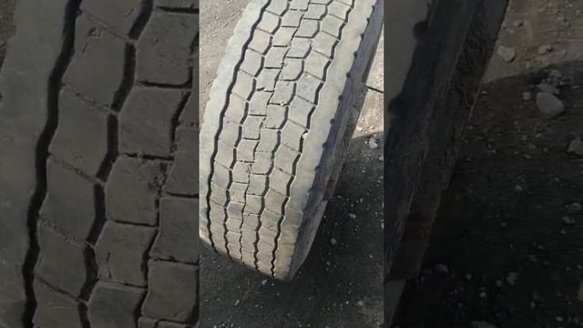 Обзор резины бел 278 и 268 смотреть онлайн