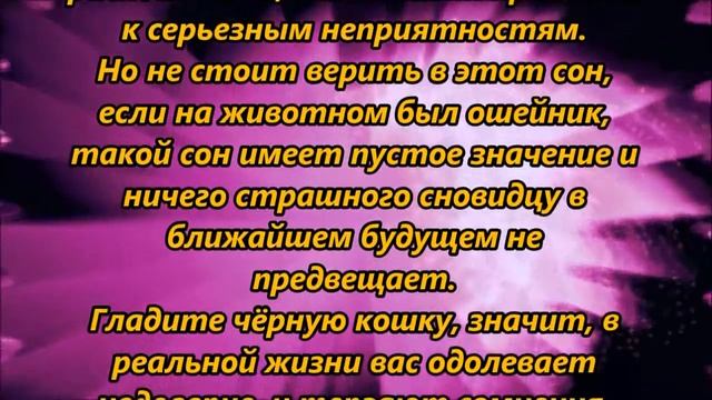 К чему снится черная кошка смотреть онлайн