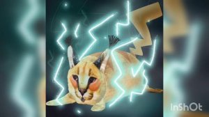 Виды Шлёп из блоп топ часть 2! #блоптоп @bloptop