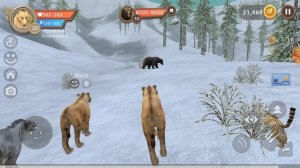 WildCraft прокачка саблезубого тигра