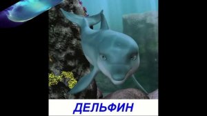 Видео для малышей - Обитатели моря. Презентация по Доману
