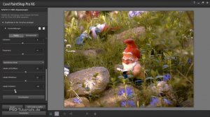 Corel PaintShop Pro Tutorial: HDR-Bild erstellen aus einem RAW-Foto