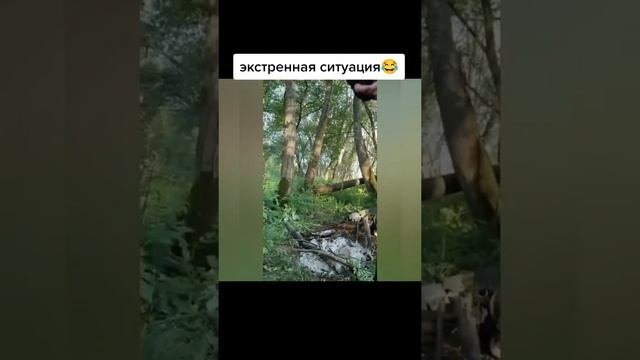 экстренная ситуация