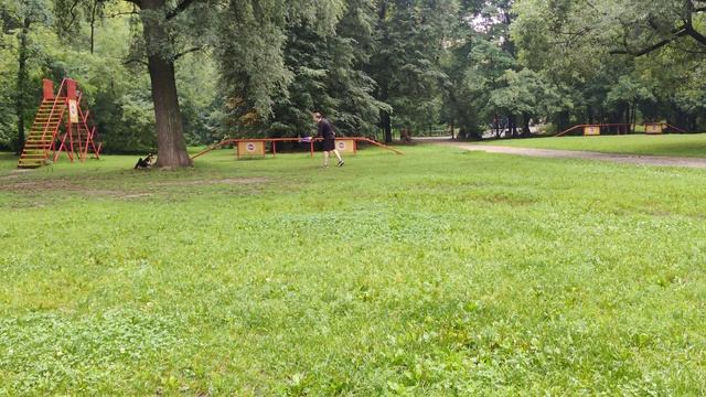 appenzeller sennenhund training of easy commands (puller work) смотреть онлайн