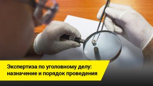 Экспертиза по уголовному делу: назначение и порядок проведения.mp4