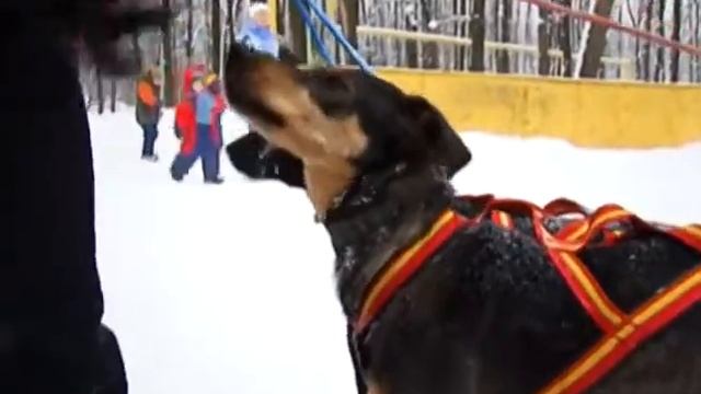 Мир увлечений 15.01.2014 смотреть онлайн