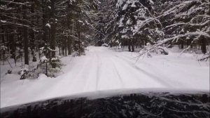 SsangYong Kyron 2.3 in the taiga/Кайрон 2.3 по тайге