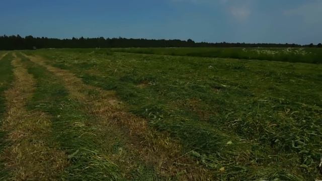 Сенокос 2020.Косим сено МТЗ80 с косилкой КРН 2.1