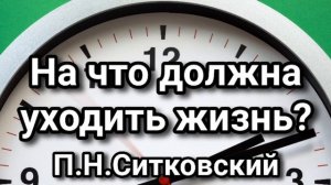 На что потратить жизнь? Примеры из проповедей П.Н.Ситковский