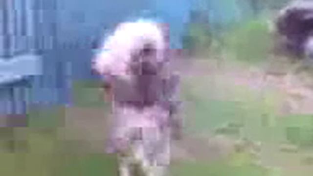 В рот и в зад flv 360p) смотреть онлайн