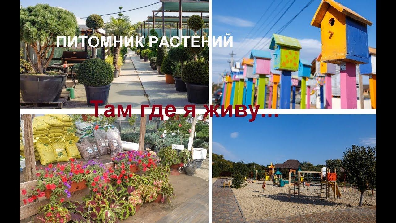 Поездка в питомник растений, цены и ассортимент. Поселок где мы живем.