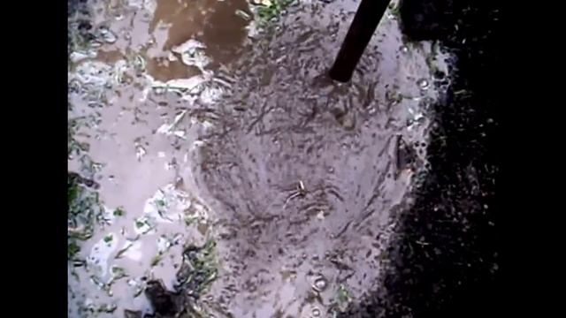 Малогабаритная буровая установка для бурения скважин на воду.Гидробурение