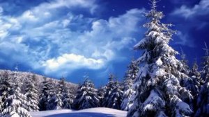 А ЛЮБОВЬ ОНА... исп. А. ПЕТРУХИН И Я .СУМИШЕВСКИЙ!!!!