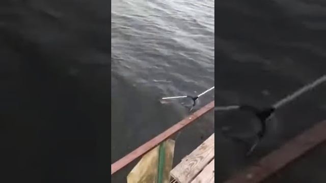 Рыбалка Тобольск смотреть онлайн