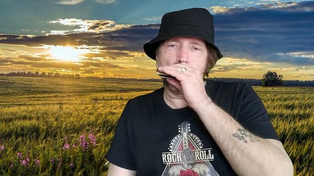 "Жил-был у бабушки серенький козлик" на губной гармошке С + табы смотреть онлайн