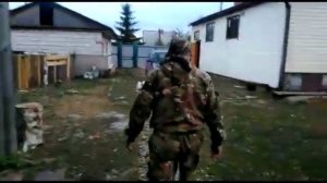 Загородная передержка для собак