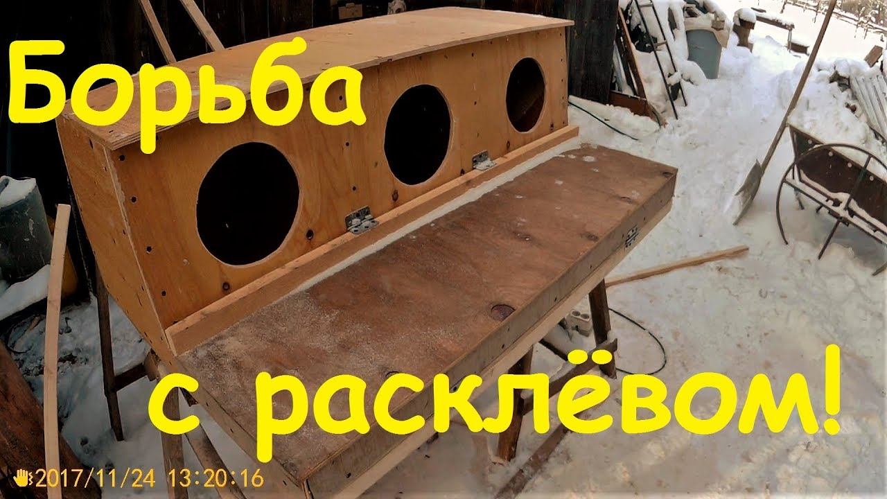 Как мы делали гнездо для кур с ловушкой и наши зимние забавы.