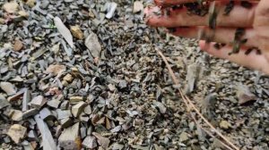 Мергель - осадочная камнеподобная горная порода?