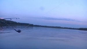 ловля леща река воронеж