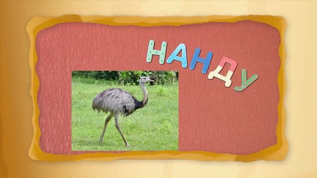 Голубь из перчатки - Мастерская - С добрым утром, малыши! смотреть онлайн