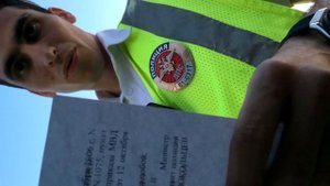 остановка без причины. ГИБДД Ростова-на-Дону,  жетон 61-0317