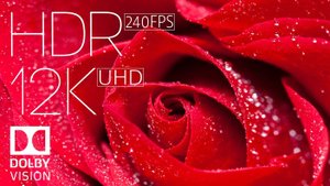 САМЫЕ КРАСИВЫЕ ЦВЕТЫ МИРА В 12K HDR 240fps DOLBY VISION с инструментальной музыкой