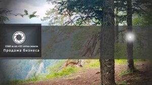 Продажа готового бизнеса, доли в бизнесе