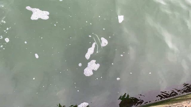 18 февраля 2024 г. ловля камбалы в черном море смотреть онлайн