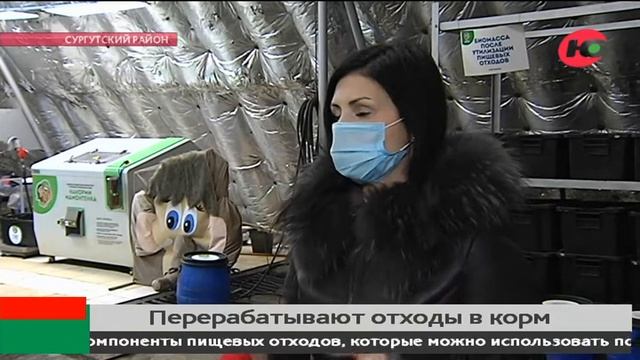 В Сургуте пищевые отходы «скармливают» «мамонтёнку» смотреть онлайн