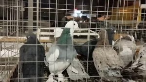 Станция Бронницы Московская Область! 21.01.2024г