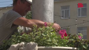 Сотрудники Белгорблагоустройства украшают наш город вазонами с цветами
