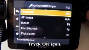 Tutorial - Sony HX 300 How to set video file