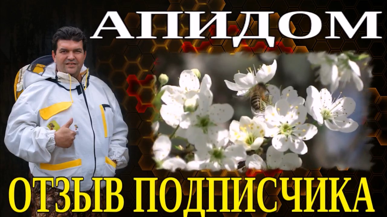 АПИДОМ. ОТЗЫВ ПОДПИСЧИКА. смотреть онлайн