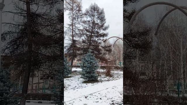 Бульвар Героев. Павшие Ёлки сложили свои ветки к ногам погибших воинов! Вечная Память нашим воинам! смотреть онлайн