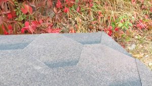 Зимний домик для уличных котов "Уличный"