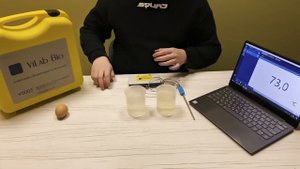 Опыт 1 денатурация белка биология