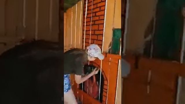 Реставрация остановки в с. Соленоозерное Ширинского района. 2021.