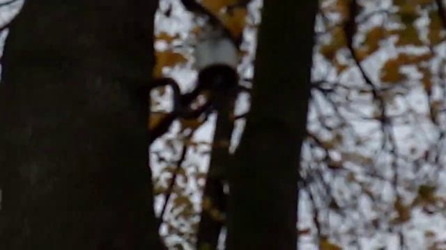 необычные по форме клубы построили в г. Ливны Орловской обл РФ!!! Что на уме у администрации?!!! смотреть онлайн