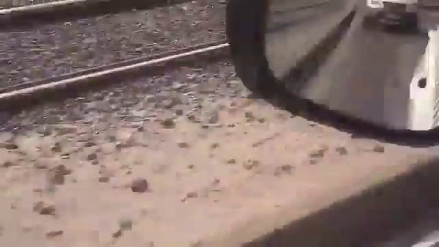 Как барашка на Курбан Байрам ловили в Казани смотреть онлайн