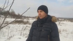 Как правильно делать срезы при обрезке деревьев.