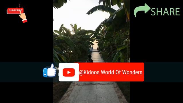 BM BEACH HOTEL | TRAVEL VLOG | KIDOOS WORLD OF WONDERS TEAM | смотреть онлайн