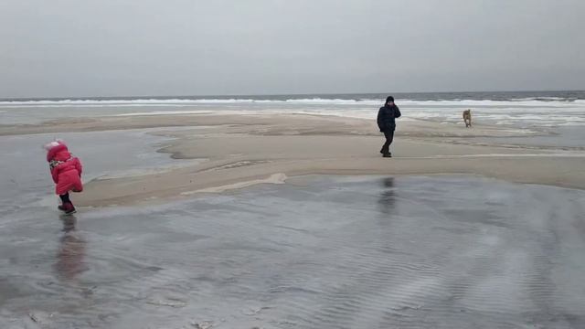 Алабай и дети катаются на льду смотреть онлайн