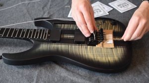 Schecter Banshee GT FR and Ernie Ball Paradigm