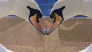 Нуржамал Усенбаева - Аккуым