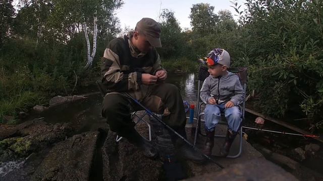 Ловим с сыном окуней! Бешенный клев окуня! смотреть онлайн
