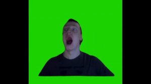 Мелстрой смеется green screenn