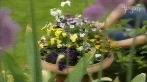 переключение каналов триколор тв 2023