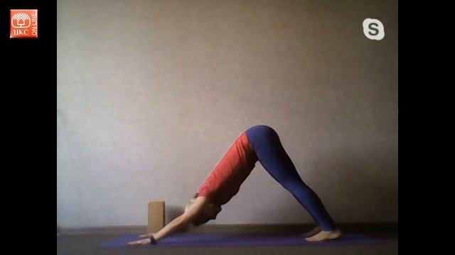 #лучшедома #воронежживет #цксврн смотреть онлайн